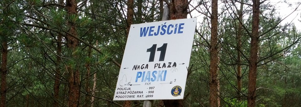 wspomnienie wakacji :-) - paraswing