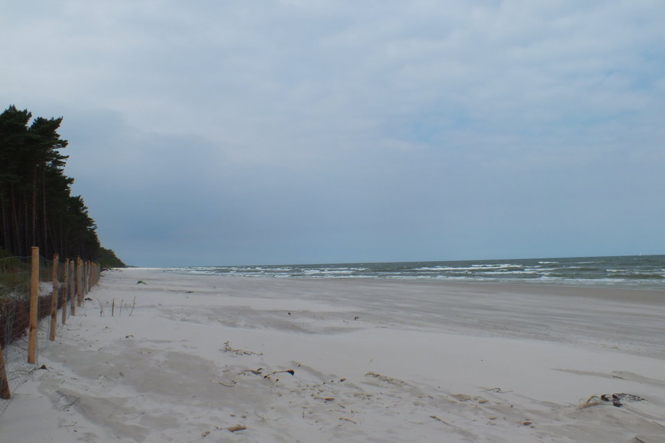 DSCF0123.JPG - trzeci303