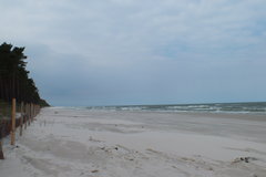 DSCF0123.JPG