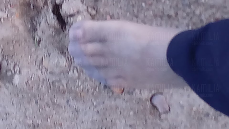 stópka moja - Kamilia