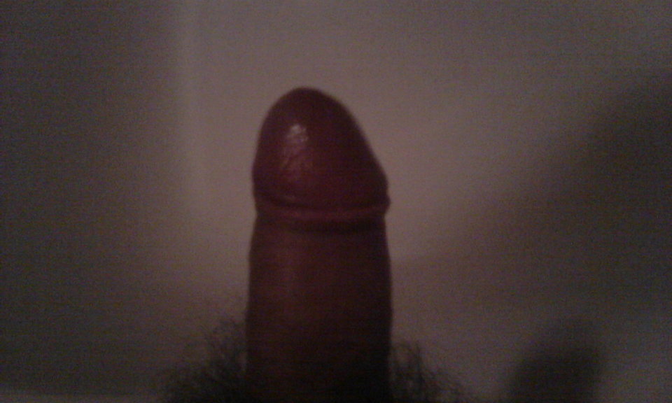 2016-09-17_23.28.01.jpg - bizon334