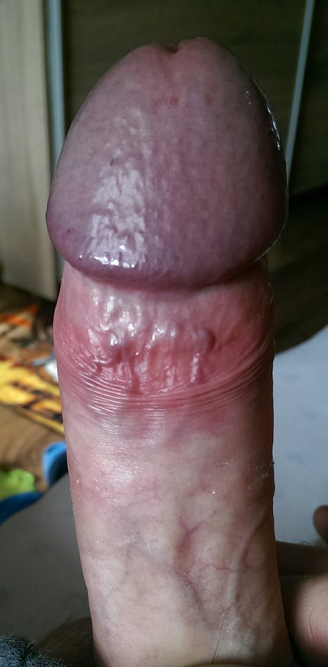 IMAG1561_1.jpg - 7doctordick7