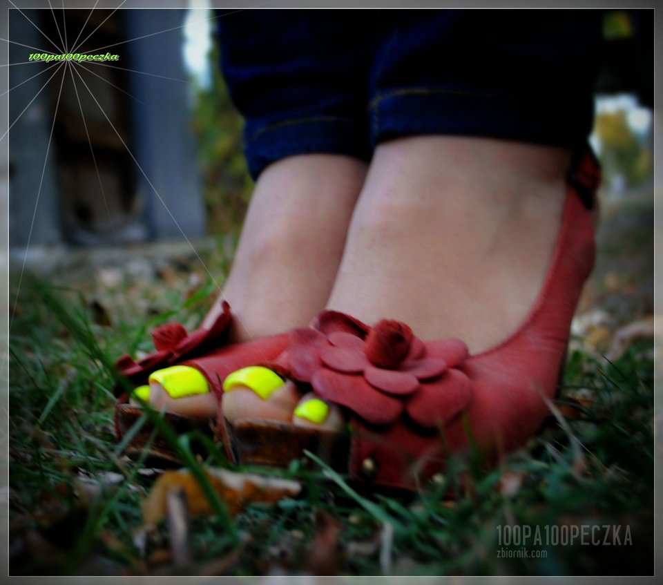 Ceglaste #51 - 100pa100peczka