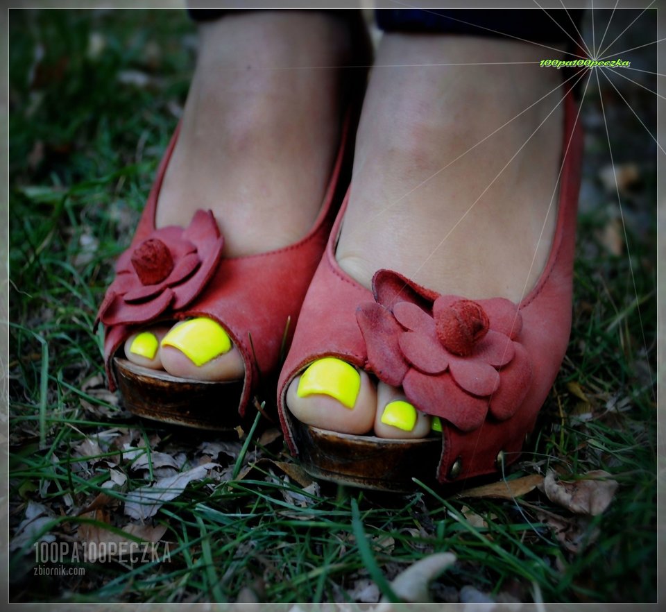 Ceglaste #52 - 100pa100peczka