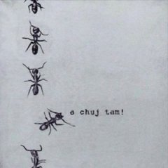 Do odważnych świat należy!