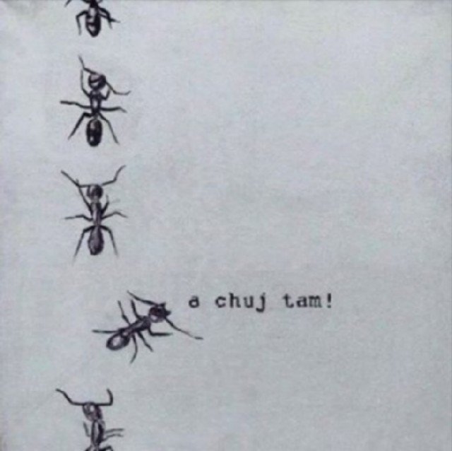 Do odważnych świat należy! - frocio