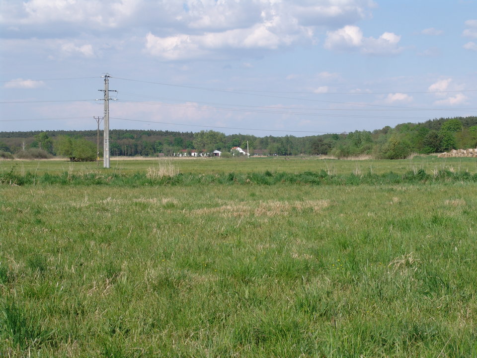 DSC08179.JPG - Kamilia