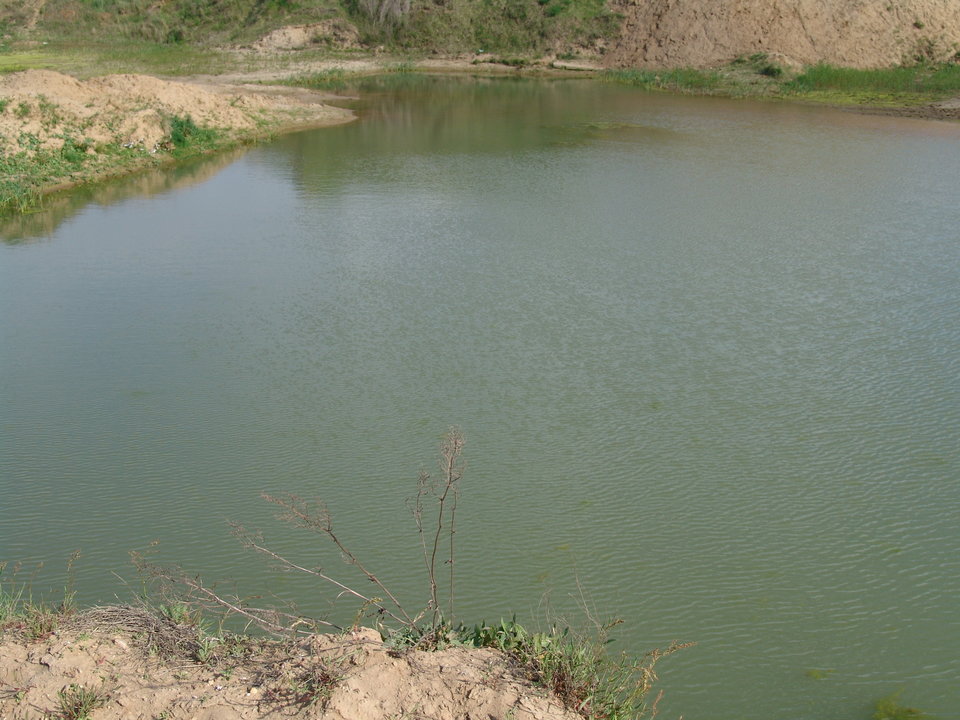 DSC08216.JPG - Kamilia