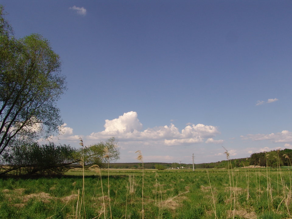 DSC08175.JPG - Kamilia