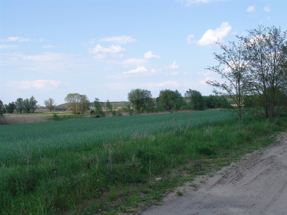 DSC08211.JPG - Kamilia