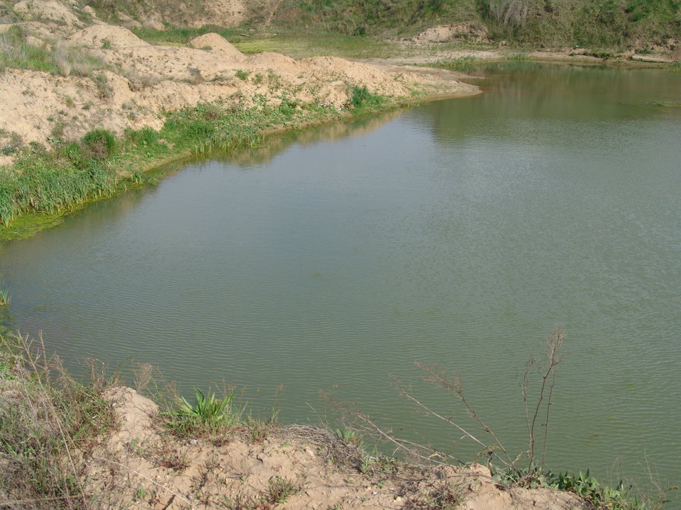 DSC08215.JPG - Kamilia