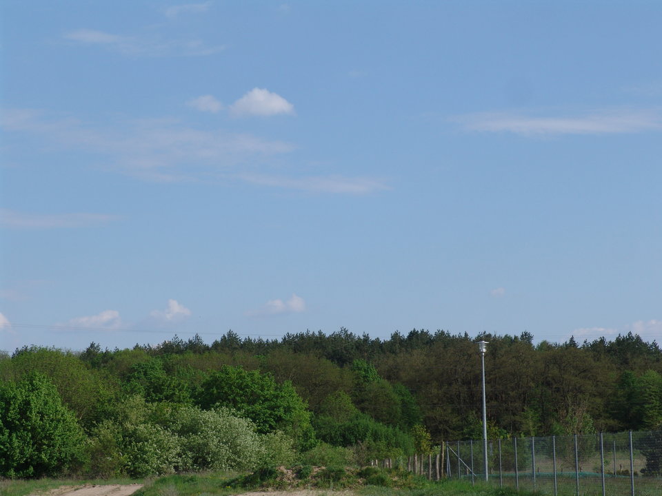 DSC08259.JPG - Kamilia