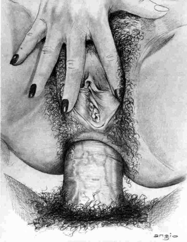 anal_faan80