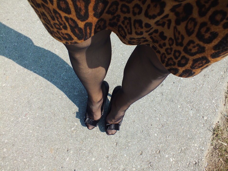 Suka na spacerku - jaak987