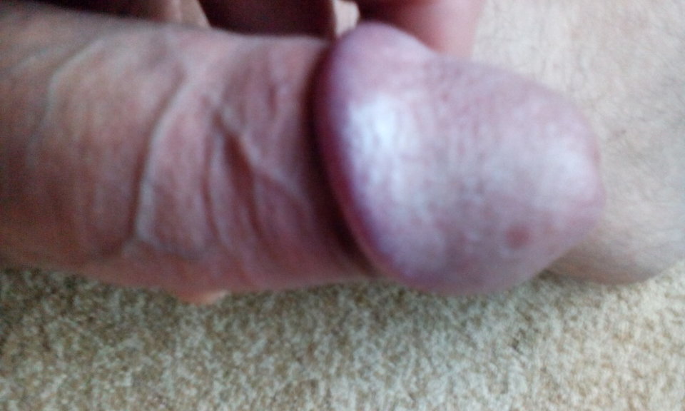 1475307189484-1507040252.jpg - Kameleon1964