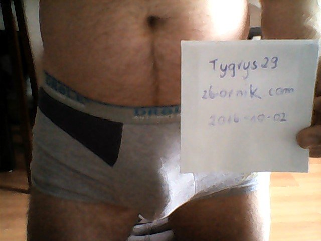 WIN_20161002_13_53_21_Pro.jpg - Tygrys29