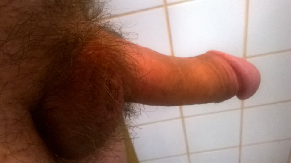 WP_20150928_09_32_24_Pro.jpg - bono49