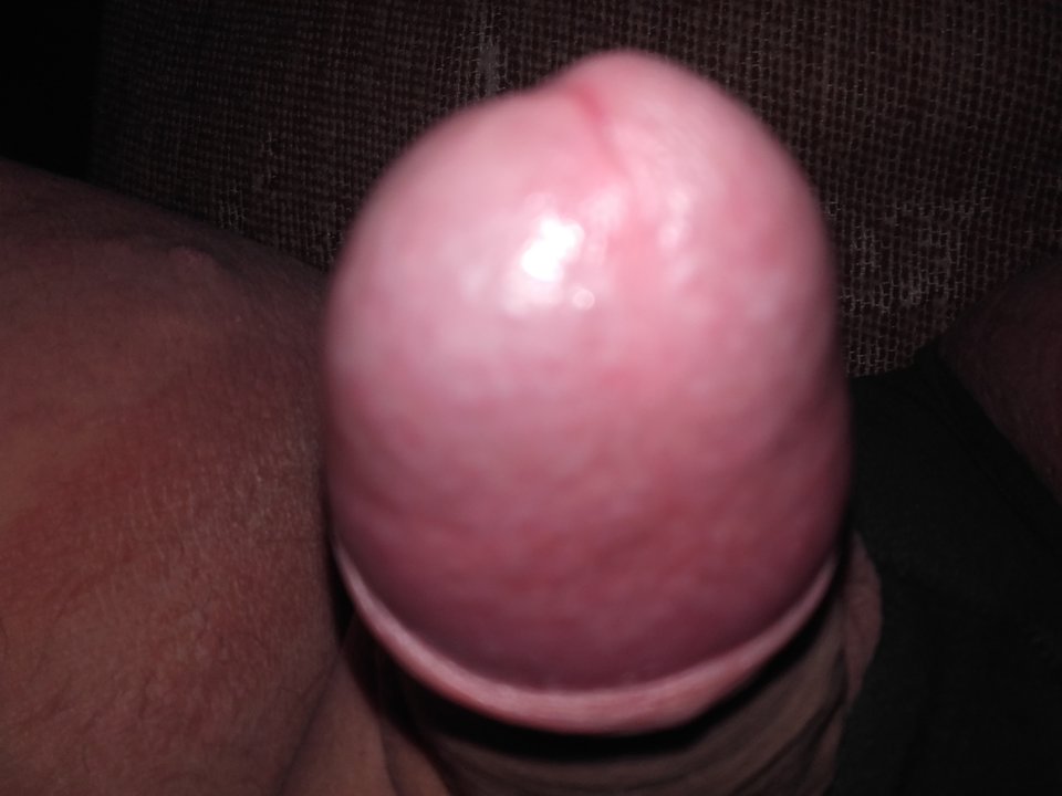 20161003_111739.jpg - medion8301