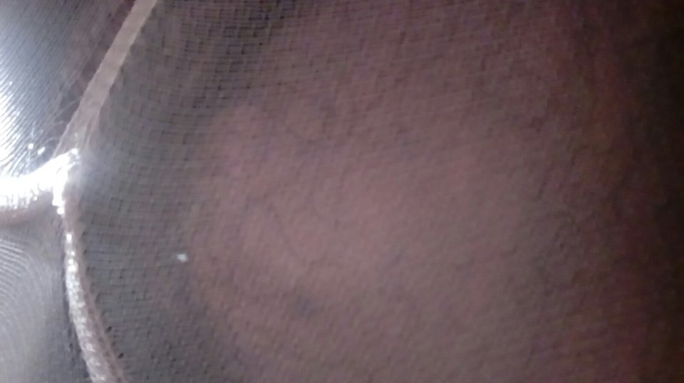 20160929_140613.jpg - Kamilia