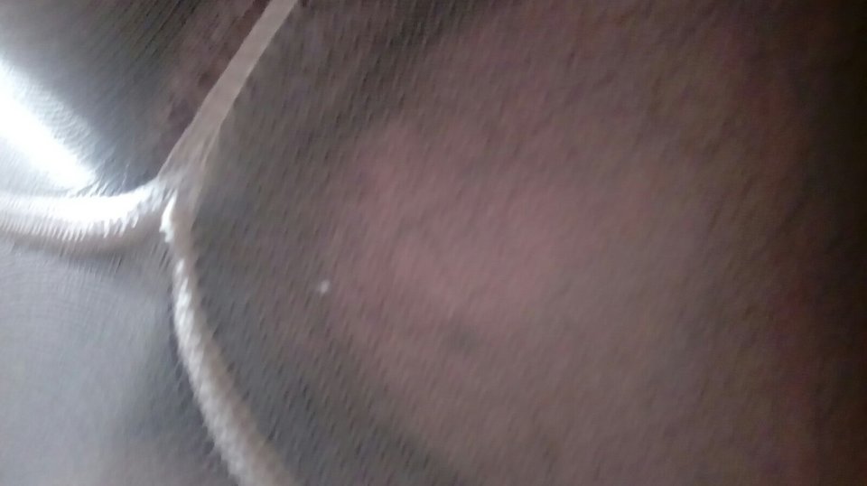 20160929_140614.jpg - Kamilia