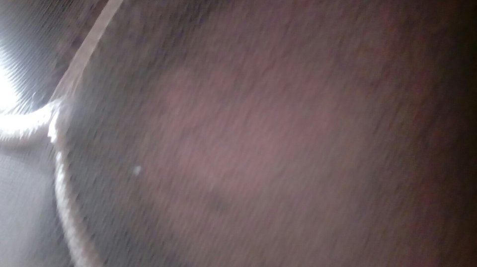 20160929_140616.jpg - Kamilia