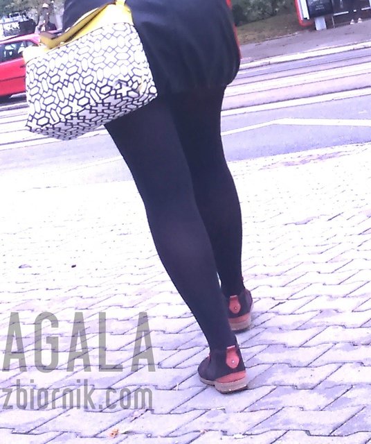 DSC_8546cz.jpg - AGALA