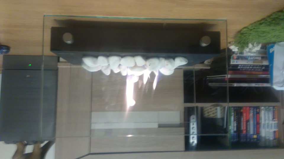 1475886499196-1877189553.jpg - Bialykrol