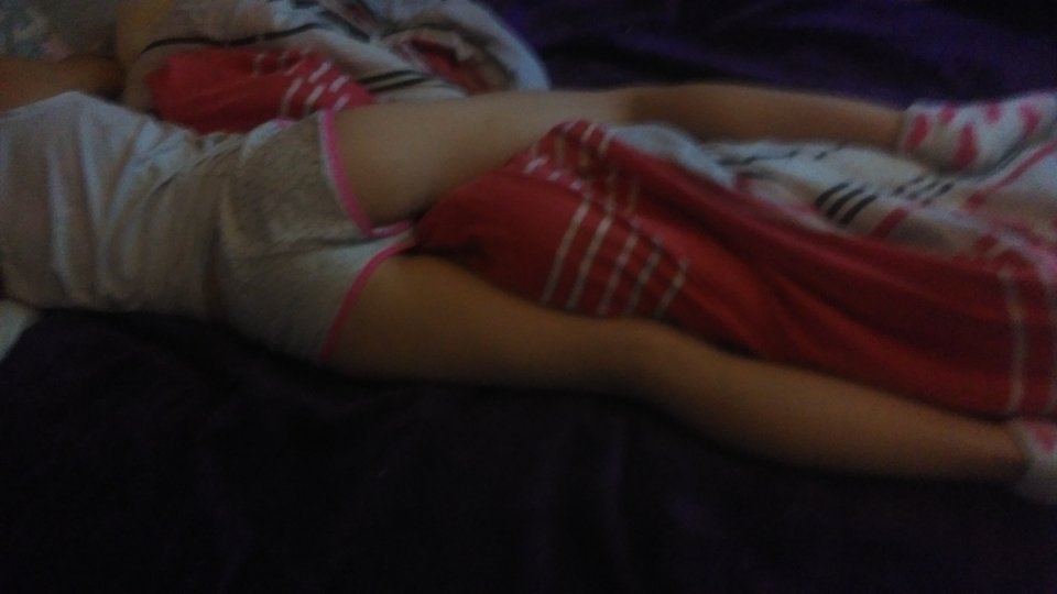 IMAG0633.jpg - wynajem