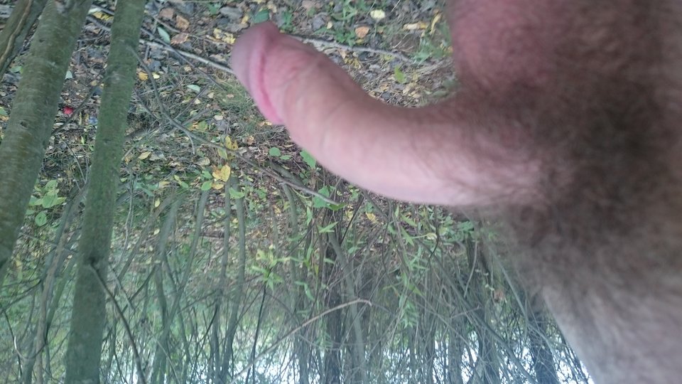 DSC_0454.JPG - andrzej12317