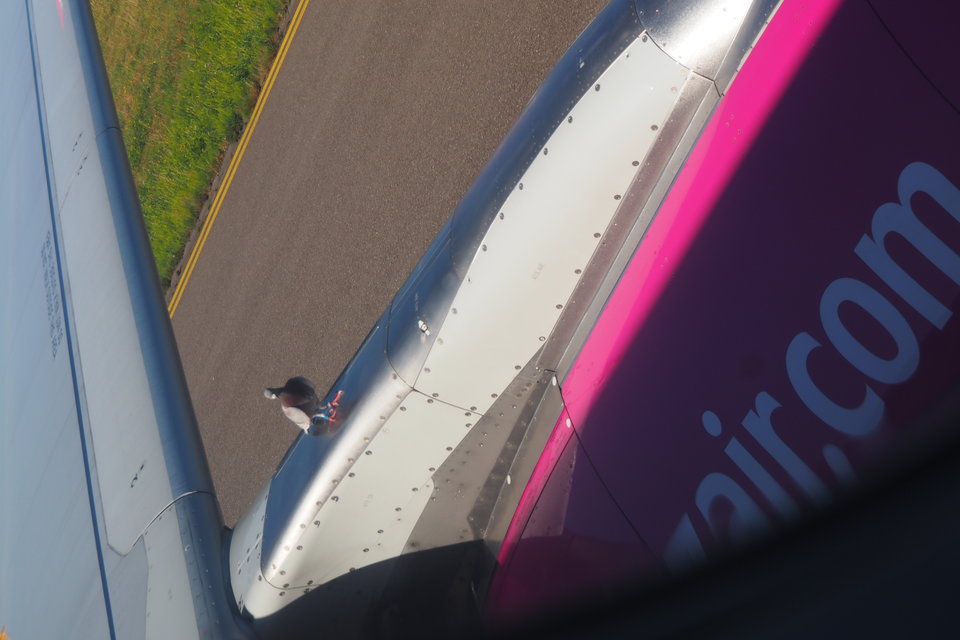 P9120368.JPG - kemor72