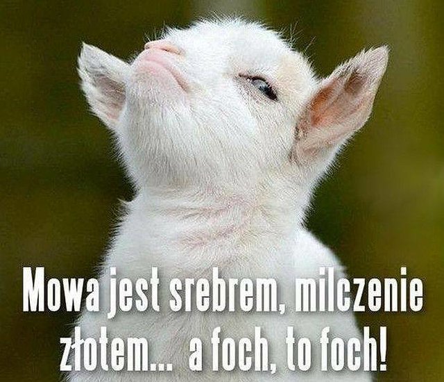 14520435_1227847650605460_1848202137064654536_n.jpg - ROUTE666