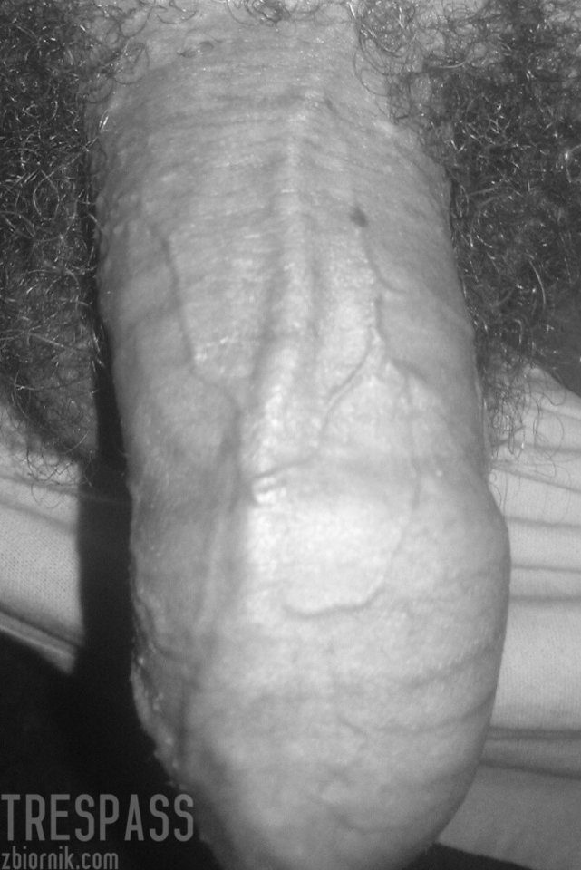 IMG_20160913_210455.JPG - trespass