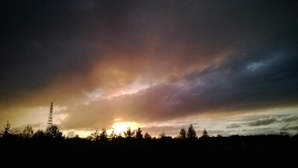 WP_20161030_001.jpg - Ratl