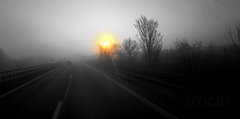 Mglisty wchód Słońca.