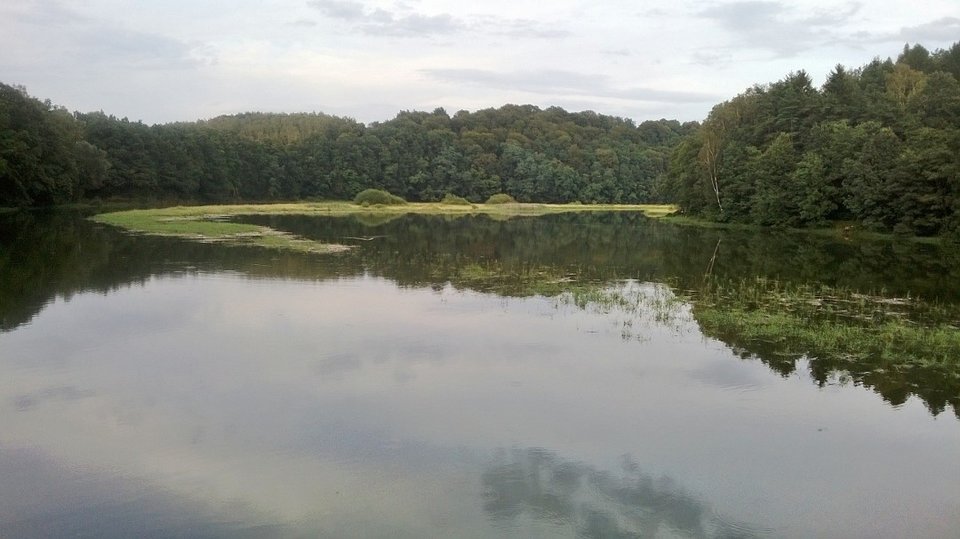 FOTD925[1].jpg - pavloff