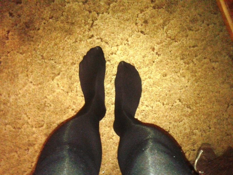 12512278_143383592718741_5086737084994596951_n.jpg - MoniczkaPrzebieralska