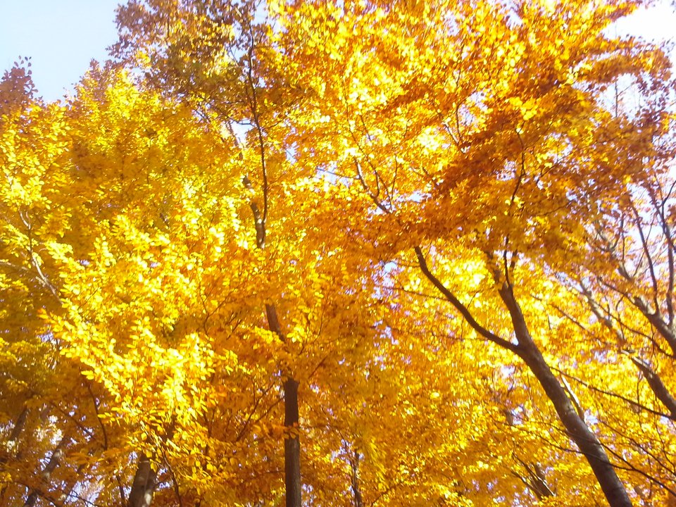 20151027_093032.jpg - JasiMalgosia7780