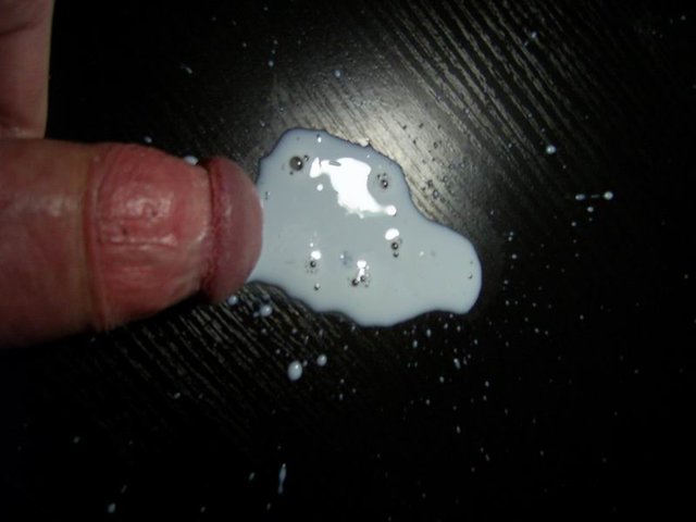 SA400005.JPG - PanKrolik007