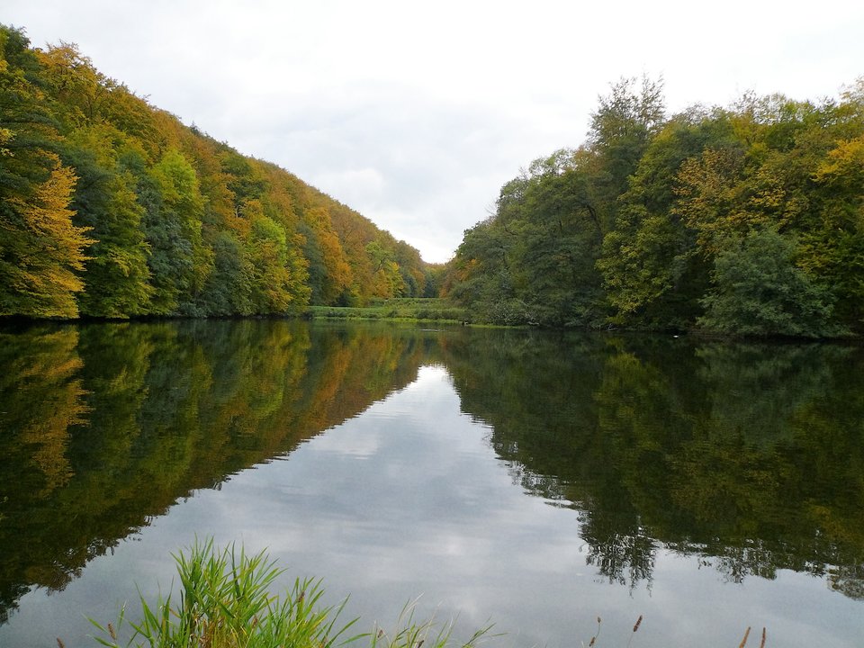 Góry Harzu - Jack061