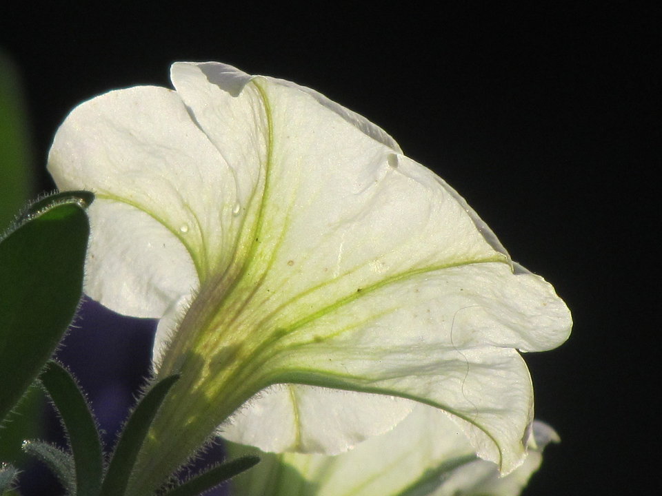 jeszcze jesiennie:) - wodnik50