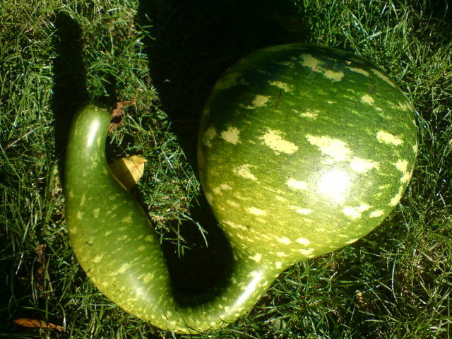 DSC02001.JPG - krakonxyz