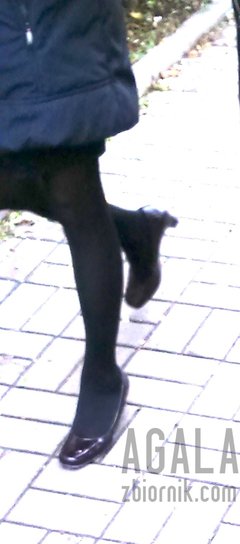 DSC_9063cz.jpg
