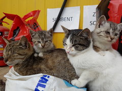 Co mnie tu zaglądasz, co......