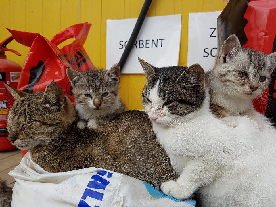 Co mnie tu zaglądasz, co...... - MAK_Demon