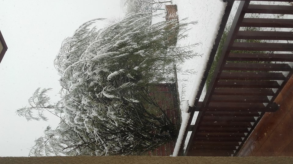 20161109_092409.jpg - jarek0707