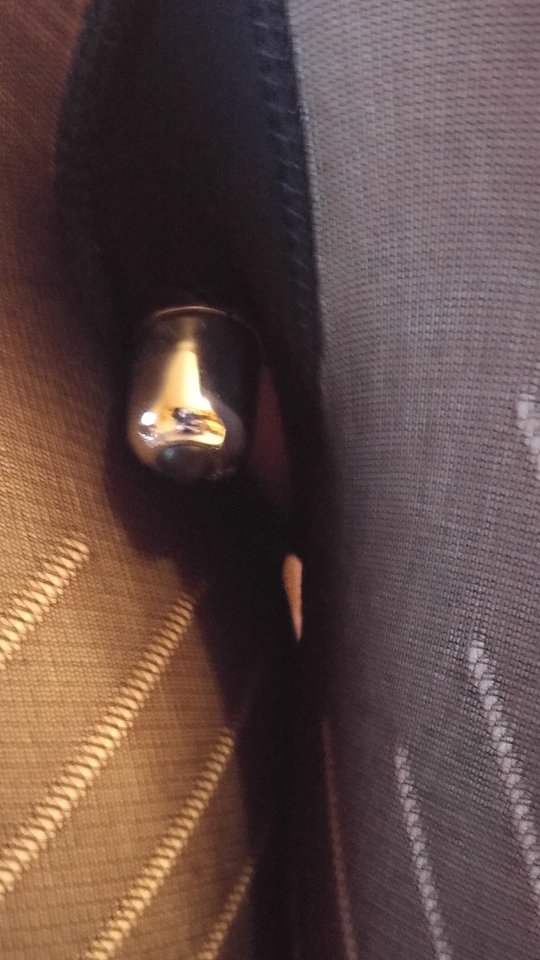 bączek.jpg - kleoihades