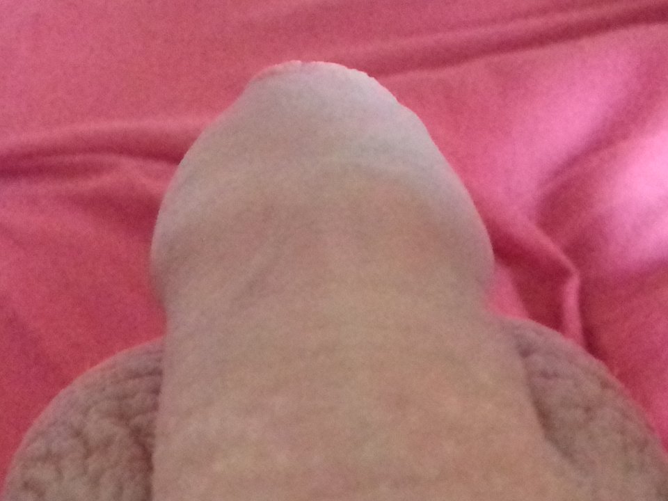 20161111_113037.jpg - robercu