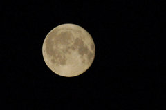 0007_Pelnia_ksiezyca.jpg
