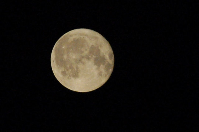 0007_Pelnia_ksiezyca.jpg - Baya