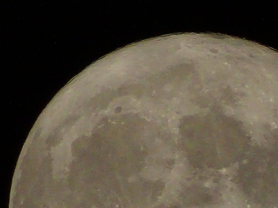 ale wielki łysy - zawszerazem87